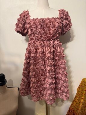 Altar'd State Mauve Rose-Appliqué Party Dress